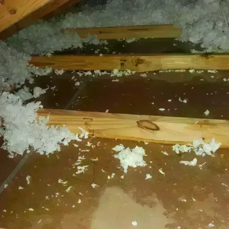 Attic Water Damage in Milaca, MN